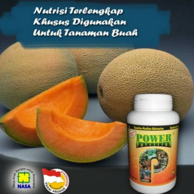 Pelebat Buah Power Nutrition Nasa