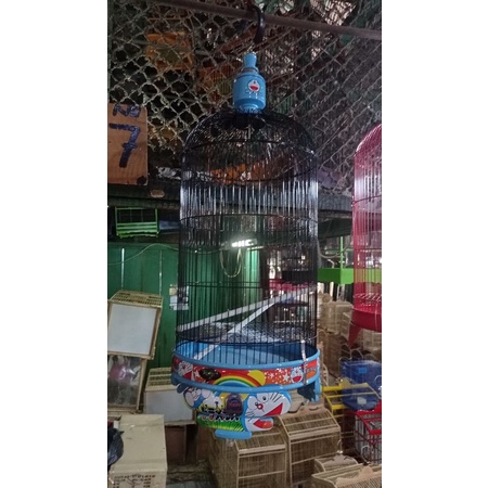 Kandang Lovebird Ebod Motif Doraemon PVC