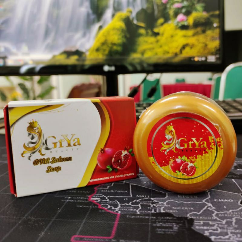 PAKET GRYABEAUTY SEPAKET/PAKET RESELLER/ CREAM SIANG MALAM dan SABUN DNA SALMON GRYA BEAUTY ORIGINAL