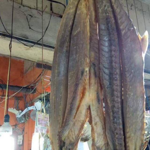 

Ikan asin tengiri asli dari kota balikpapan