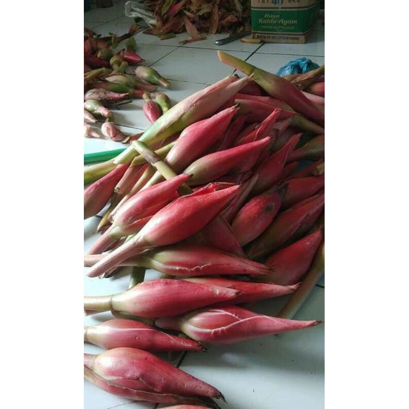 

Kecombrang,Kantan,Atau Honje 250gram