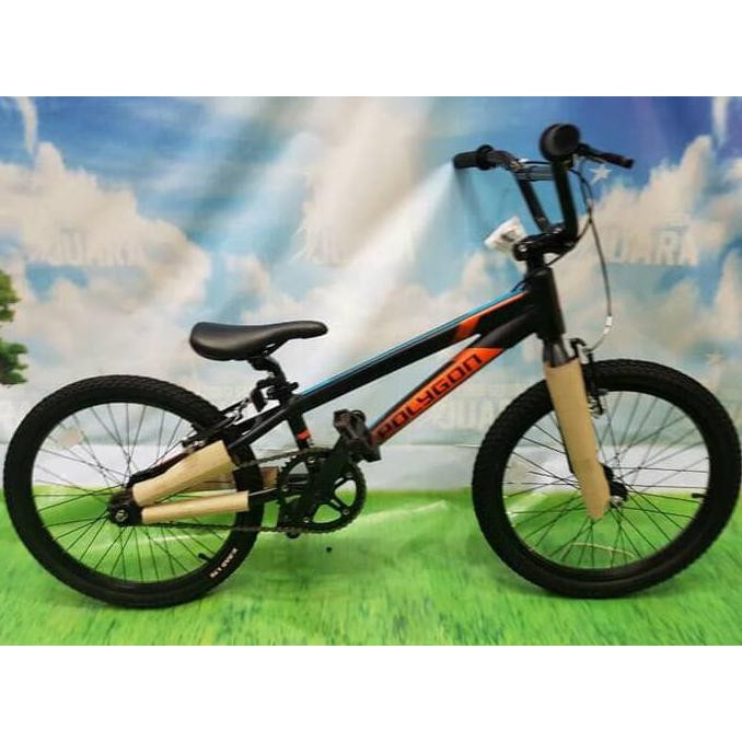 bmx polygon blizzard