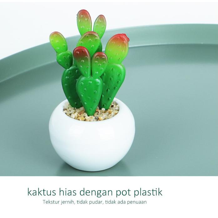 𝓜𝓤𝓡𝓐𝓗 【Beli 2 diskon 5%】Aonez bunga hiasan kaktus hias dengan pot plastik tanaman sukulen murah
