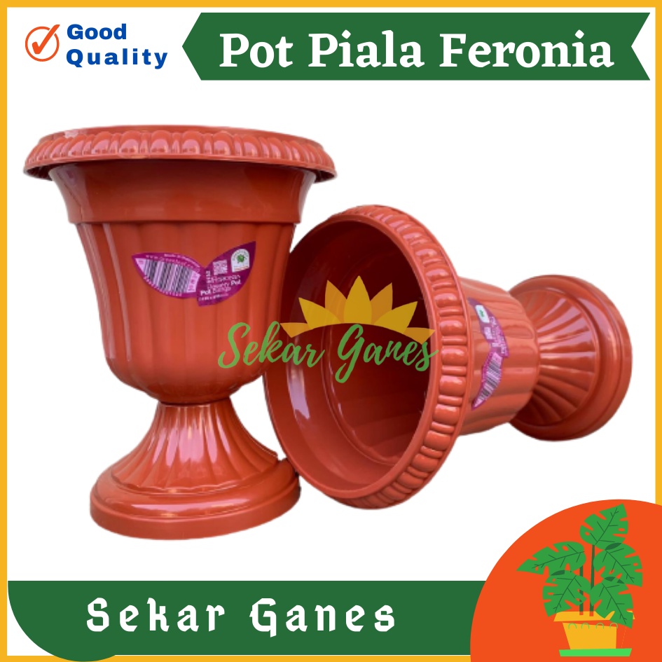 Pot Piala Green Leaf Feronia 6152 Merah Bata Terracota Merah Coklat Pot Piala Tinggi Putih Plastik hitam pendek 50 - Pot bunga tanaman piala feronia putih 18cm - PIALA MINI 6152