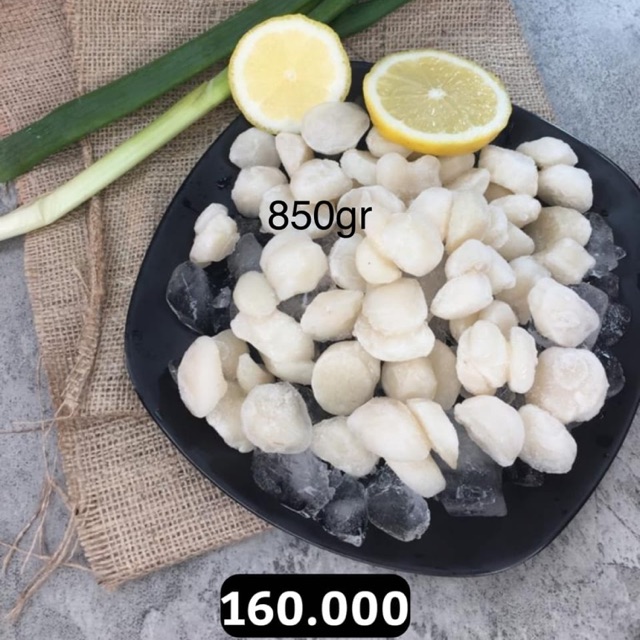 

Scallop Meat EXPORT QUALITY