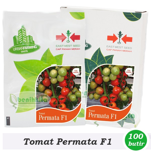 Benih Tomat Permata F1 (Cap Panah Merah)