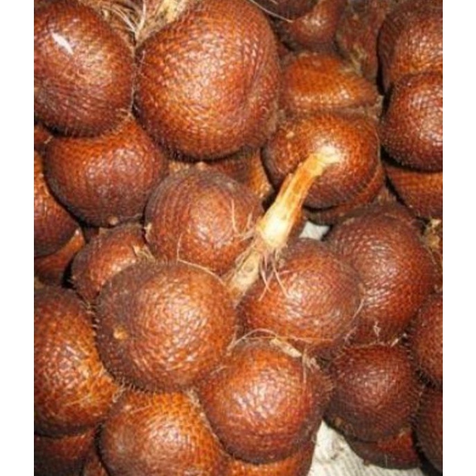 

Buah Salak Karangasem Bali asem manis (1kilo)