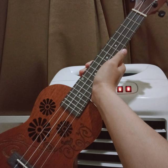 UKULELE PALADIN