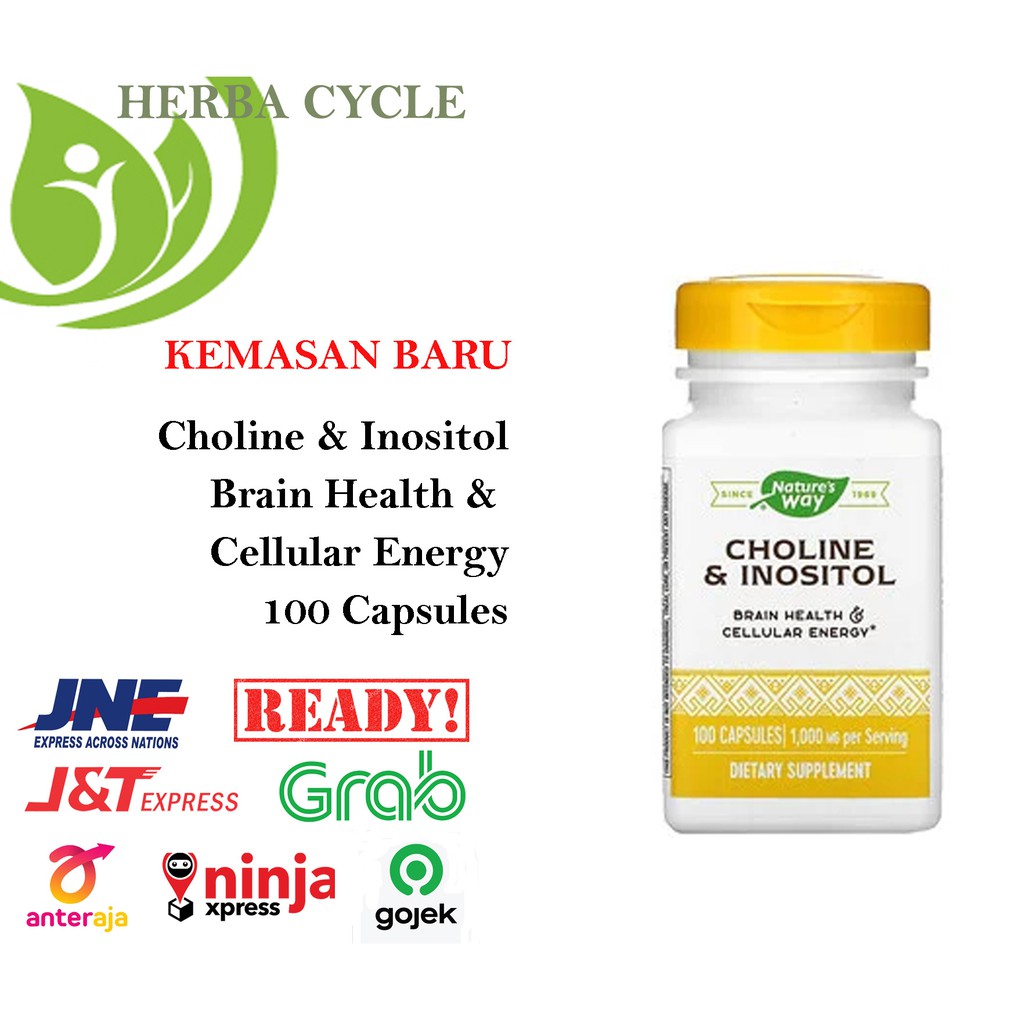 Nature Way Choline Inositol 500 mg 100 Caps Suplement Memori Alzheimer