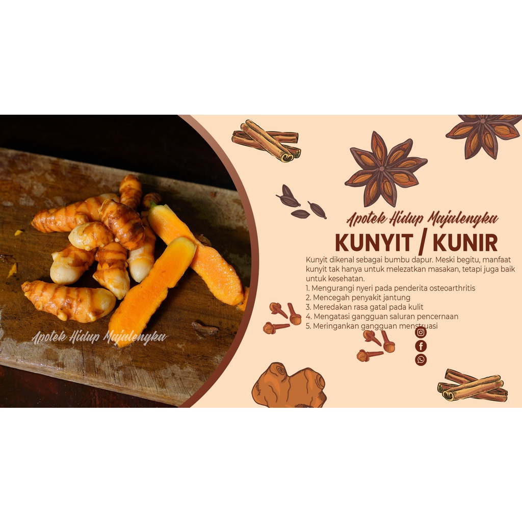 

KUNYIT KUNING / KUNIR SEGAR FRESH