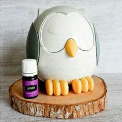 Young Living Diffuser Owl + oil lavender (Pr3loved)