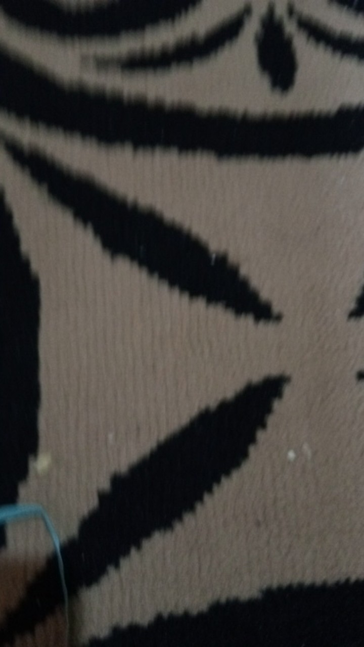 Reliza Wall Sticker / Stiker Dinding Sangkar Pohon Triple Cage Hiasan Dinding Ay9039