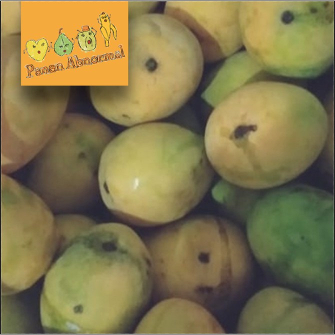 

Mangga Gedong Gincu per Kg Panen Abnormal - Wajib Instant