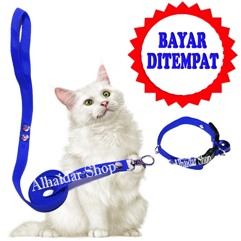 TALI TUNTUN KUCING MURAH HARNESS O