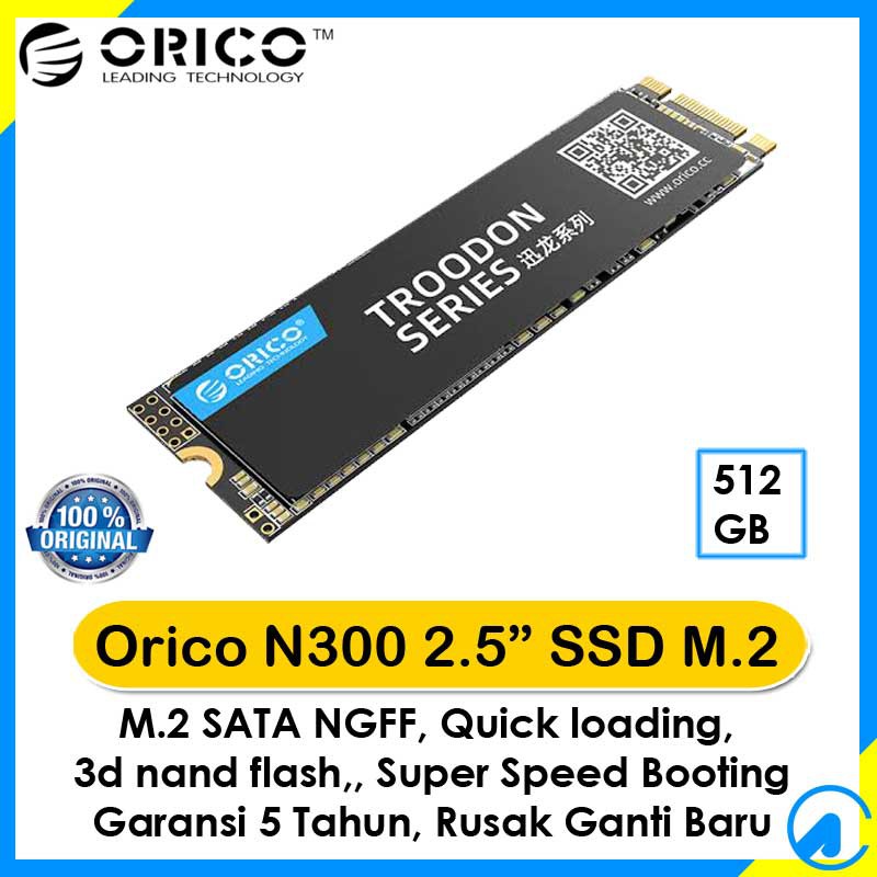 Orico N300 SSD 512GB M.2 SATA 2280 Troodon Series
