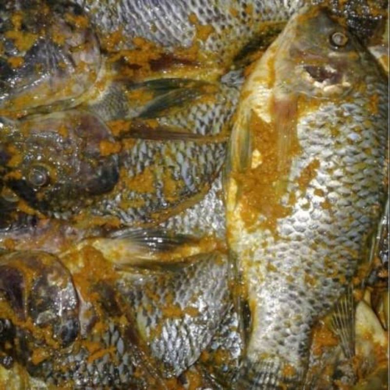 

Ikan Mujaer 1Kg Bumbu Kuning Siap Masak Segar Fresh BERGARANSI