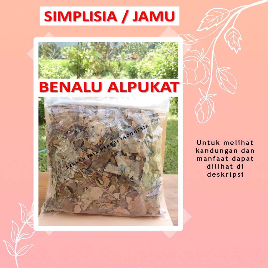 

Daun benalu alpukat bahan Jamu godog godok rebus simplisia antikanker