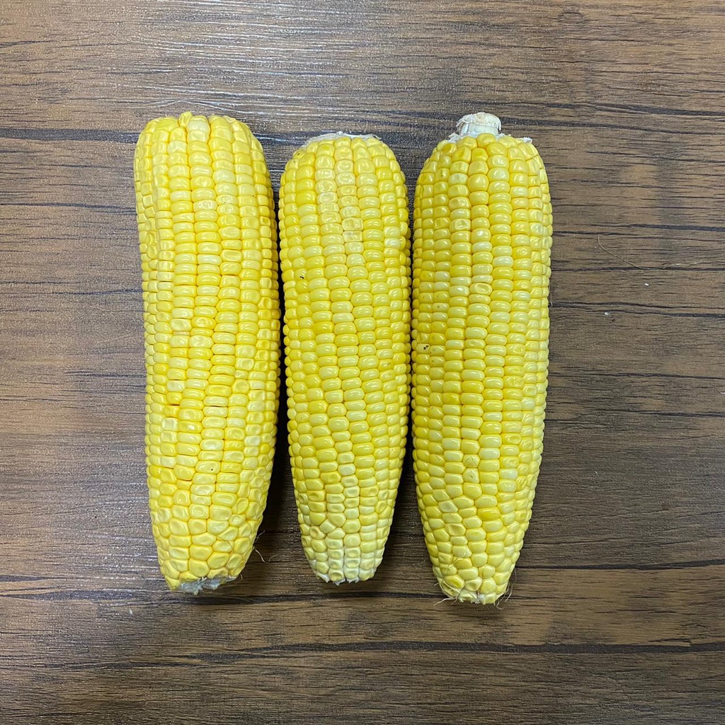 

JAGUNG MANIS KUPAS