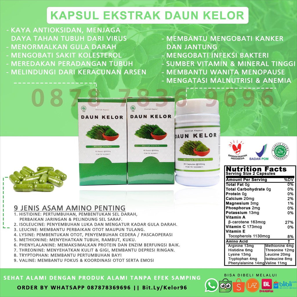 EKSTRAK DAUN KELOR ORIGINAL 60KAPSUL | Shopee Indonesia