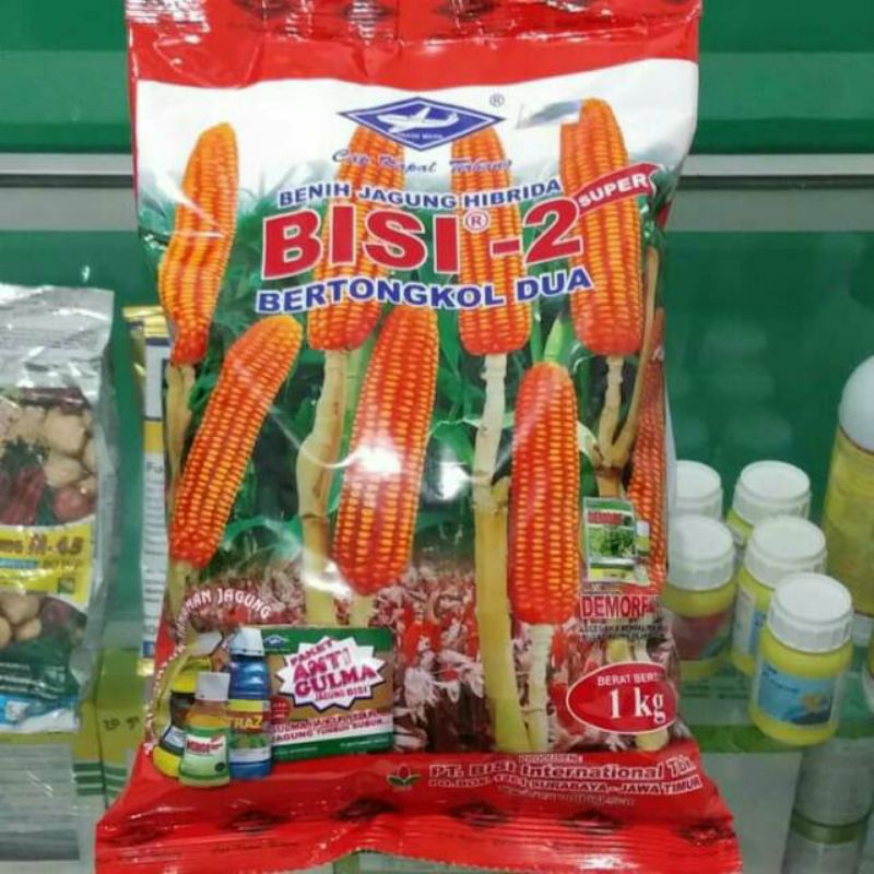 Benih Jagung Hibrida Bisi - 2