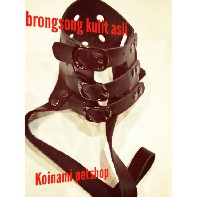 BRONGSONG KULIT COKLAT UNIVERSAL / brangus anjing / pet protection / aksesoris anjing / petshop