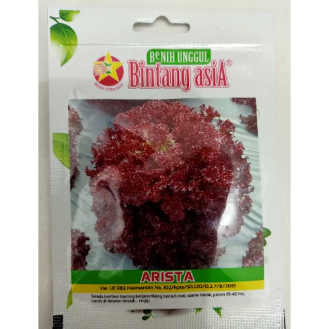 Benih / Bibit selada merah / selada
