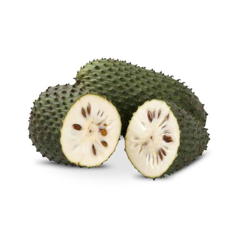 

Buah Sirsak Fresh/ Durian Arab -+1kg