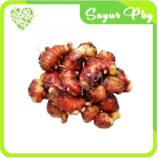 

Jahe Merah 250 gr