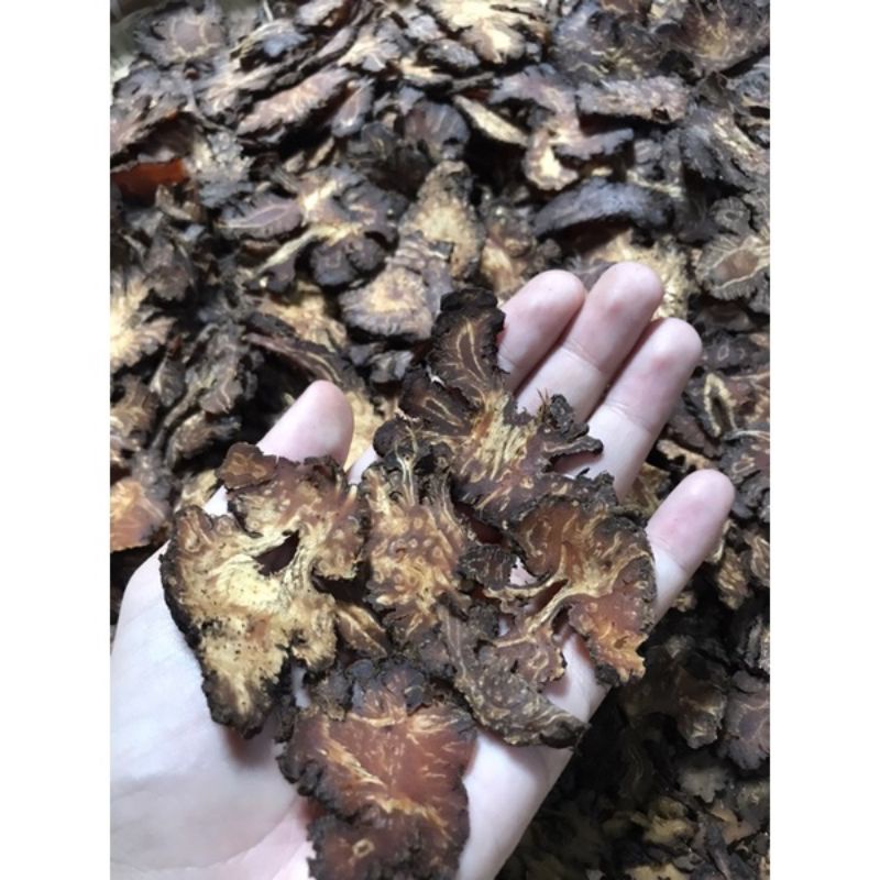 

daun geganti/ganti super