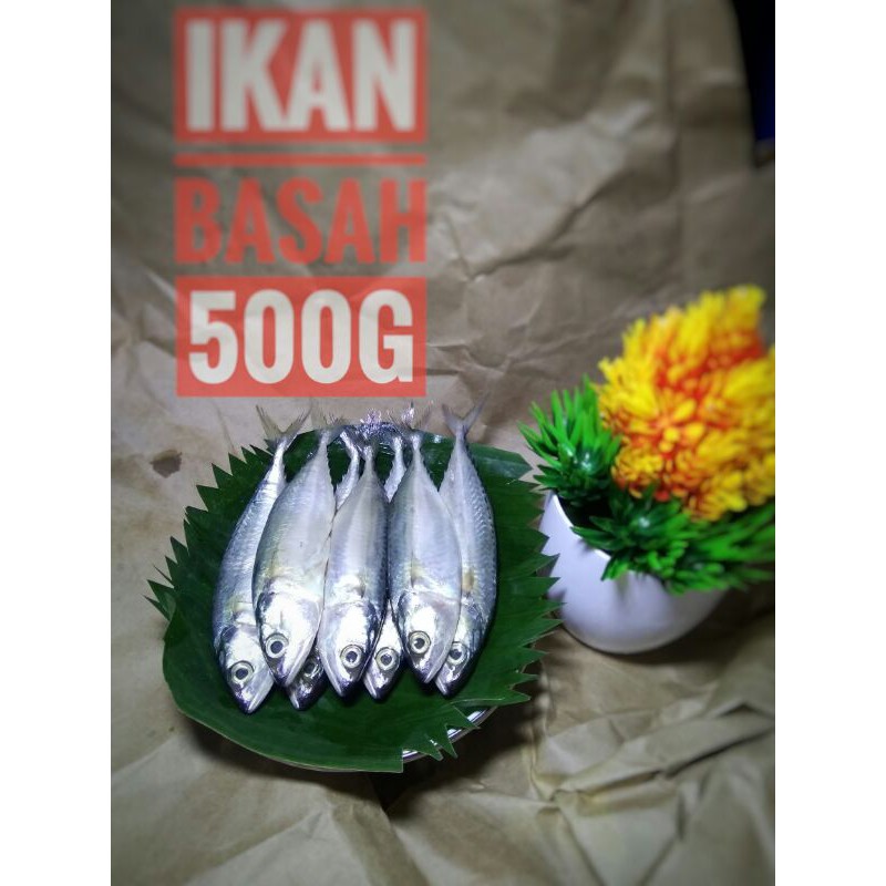 

ikan basah segar