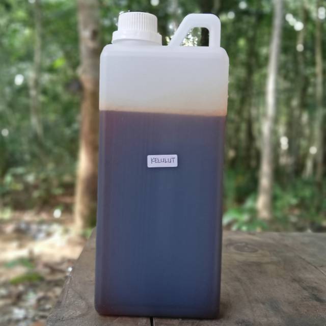 

Madu Kelulut Asli