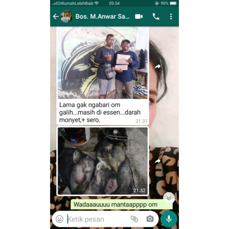 Essen oplosan jitu DM 15ml khusus ikan mas dan patin