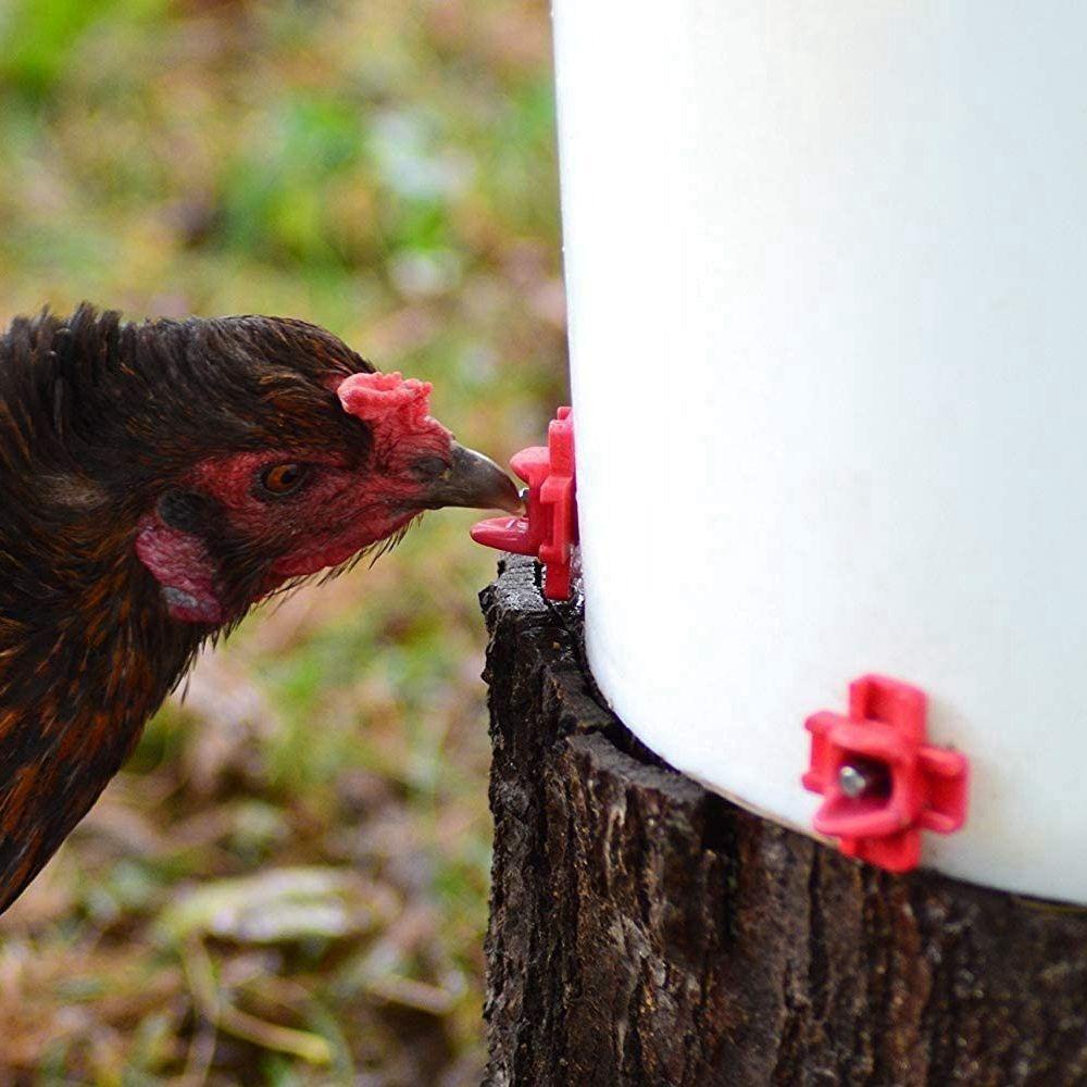 [Elegan] Nipple Drinkers 12Pcs/Lot Hens 360derajat Untuk Kandang Ayam Unggas Perlengkapan Hewan Ternak Bebek Drinker