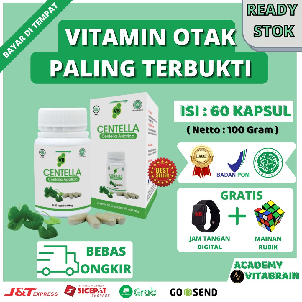Vitamin Otak Anak Daya Ingat Konsentrasi Nutrisi Suplemen