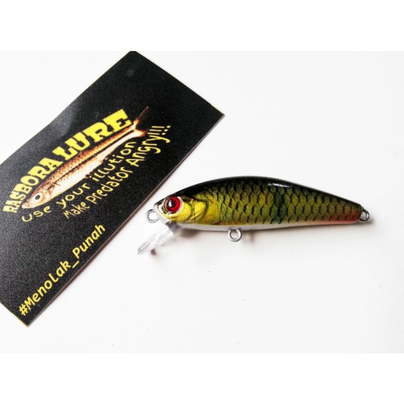 Rasbora Lure rep. agile Hampala