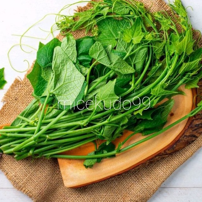 

DAUN PUCUK LABU ORGANIK FRESH / PUCUK WALUH SAYUR SEGAR BALI