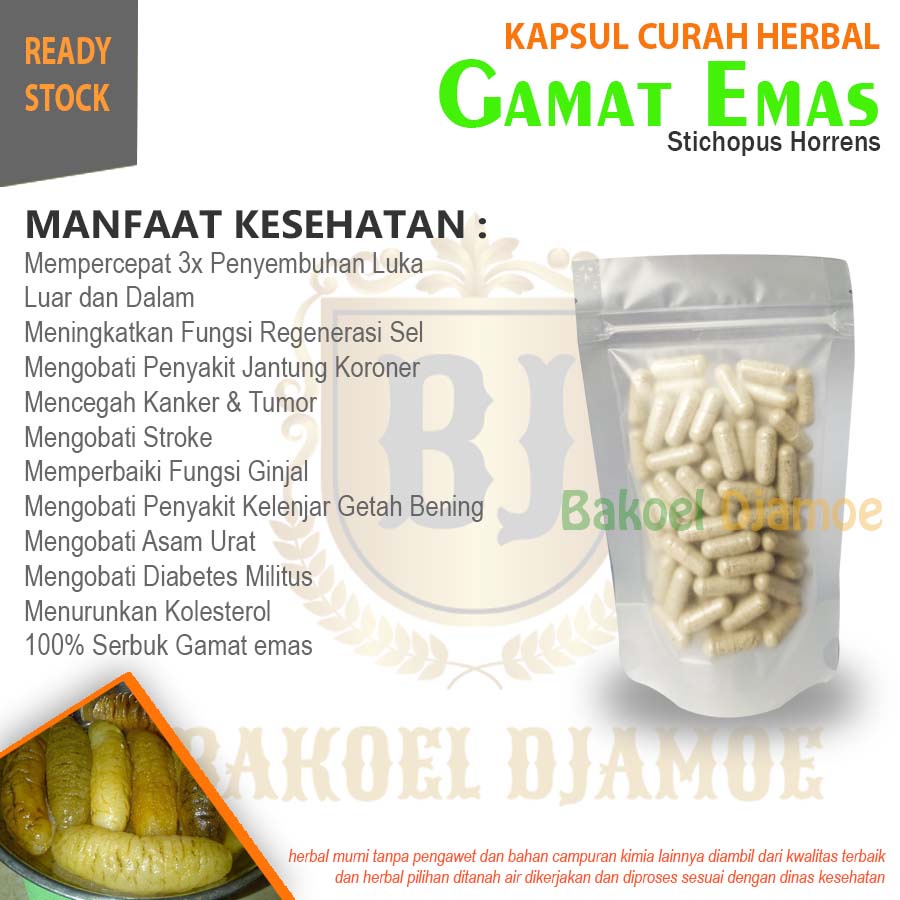 

Kapsul curah herbal gamat emas kapsul herbal luka luar dan dalam