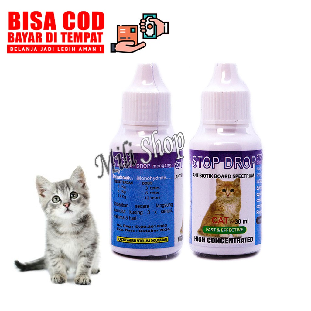 OBAT KUCING SAKIT FLU DEMAN ANTIBIOTIK ANAK KUCING STOP DROP