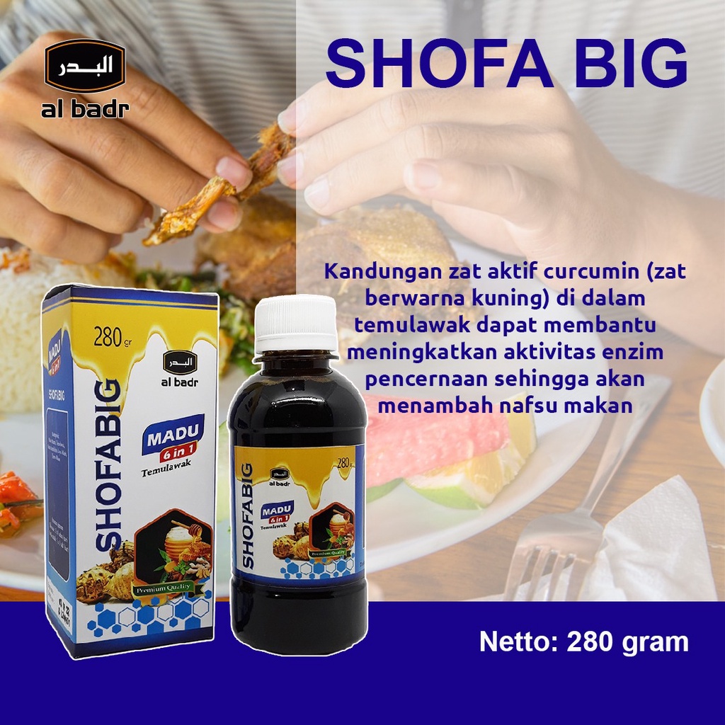 

Madu Temulawak Herbal Nafsu makan Shofabig netto 280 gram