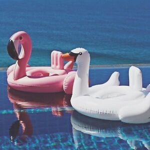 Baby Inflatable flamingo&amp;swan/ban renang anak