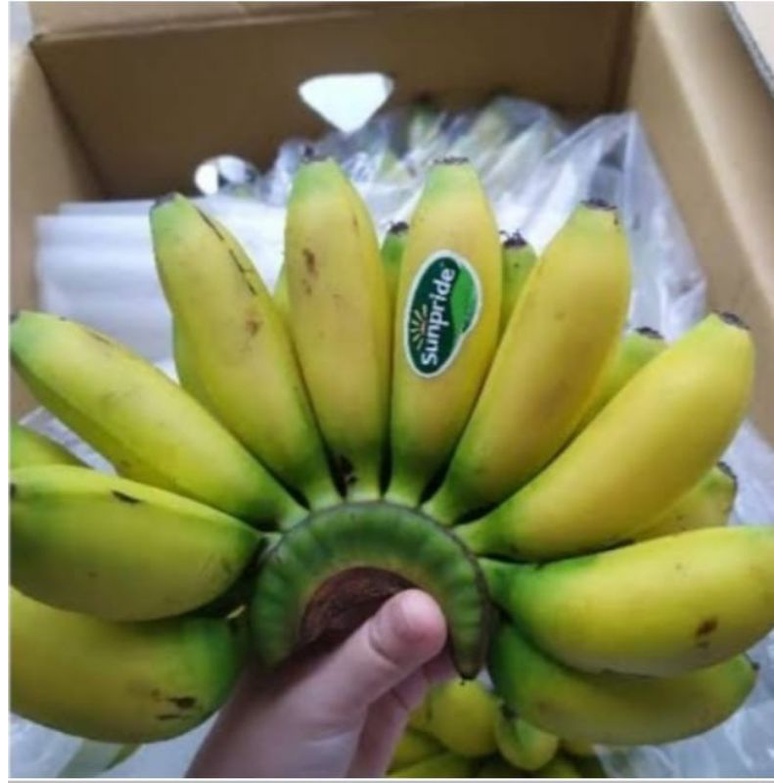 Pisang Mas Sunpride matang manis/1sisir