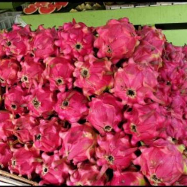 

PROMO MURAH Buah dragon fruit berat 500 gram