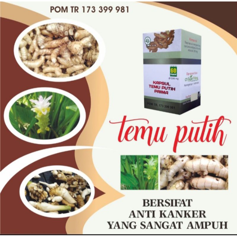 

Temu Putih 60 Kapsul - Bantu Lancar Haid. Usir Keputihan. Cegah Tumor. Kista. Miom. Kanker. Imunitas