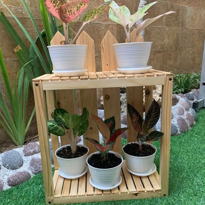 RAK rak tanaman pagar minimalis