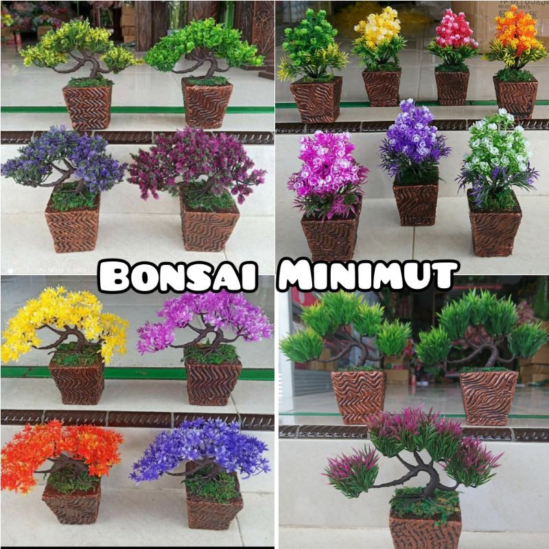 Bonsai Minimut (Tanpa Pot) Bonsai Bunga Bonsai Hias Tanaman Hias Bonsai Plastik