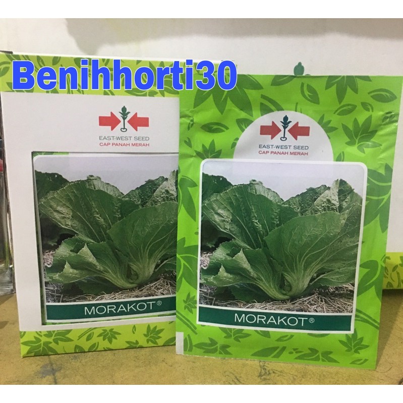 Benih Sawi Pahit Morakot isi 20 gram