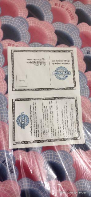 Kasur Busa Bigfoam Standar All Size (promo Harga)