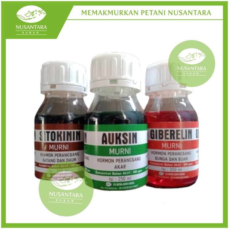 ZPT HORMON MURNI AUKSIN GIBERELIN SITOKININ 250 ML