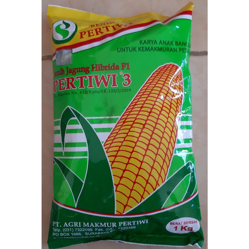 Benih jagung PERTIWI 3