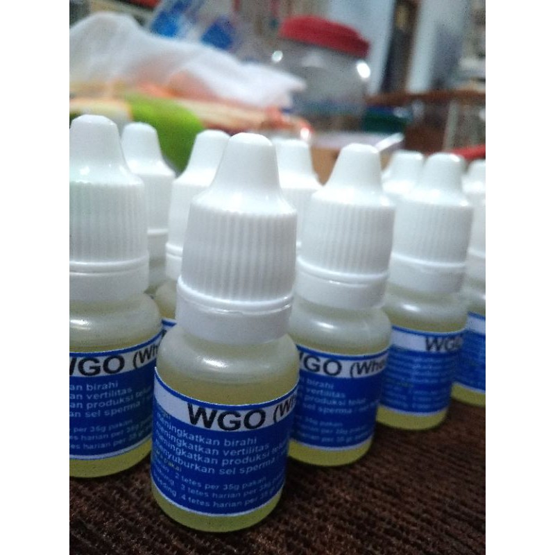 wgo vitamin burung 10ml(joss)
